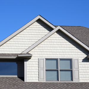 Untitled design - 2024-06-24T155120.329